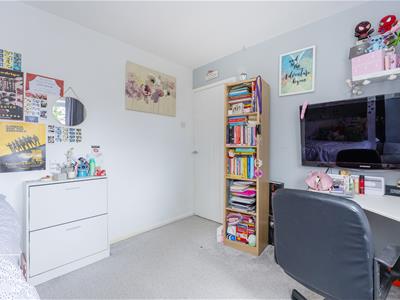 Picture 19